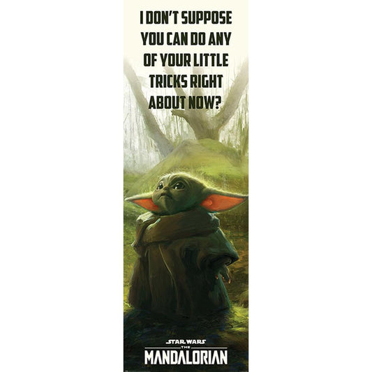 182670 Star Wars The Mandalorian Door Poster 307