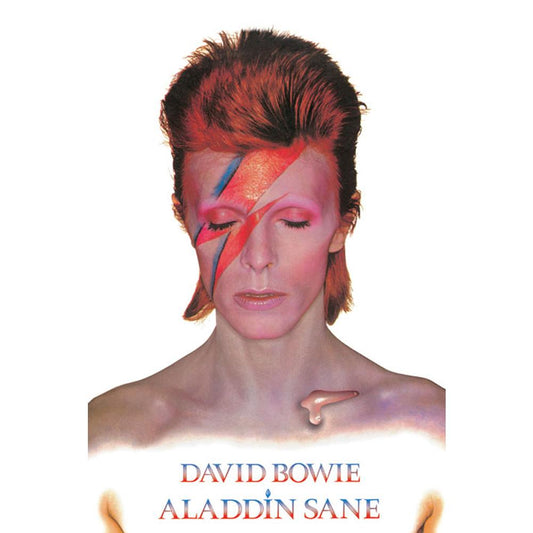 188011 David Bowie Poster Aladdin Slane 269