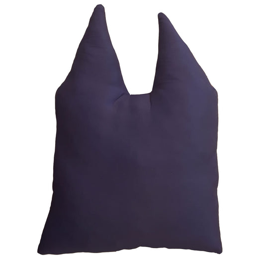 Bluey Cushion 1