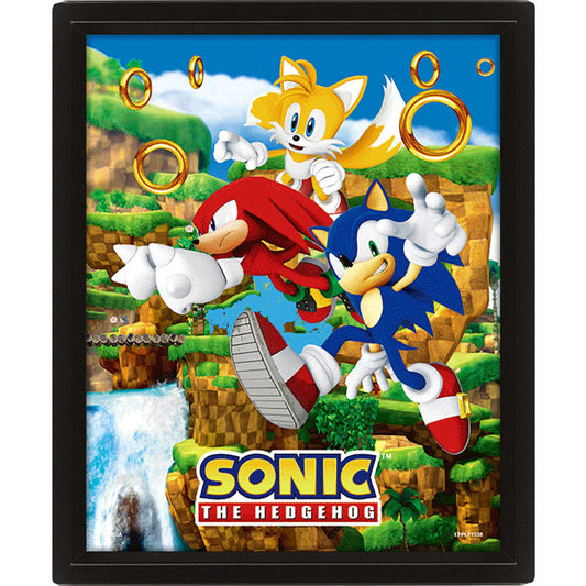 Sonic The Hedgehog Framed 3D Picture 1