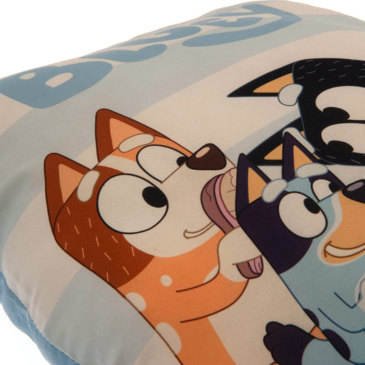 Bluey Cushion 2