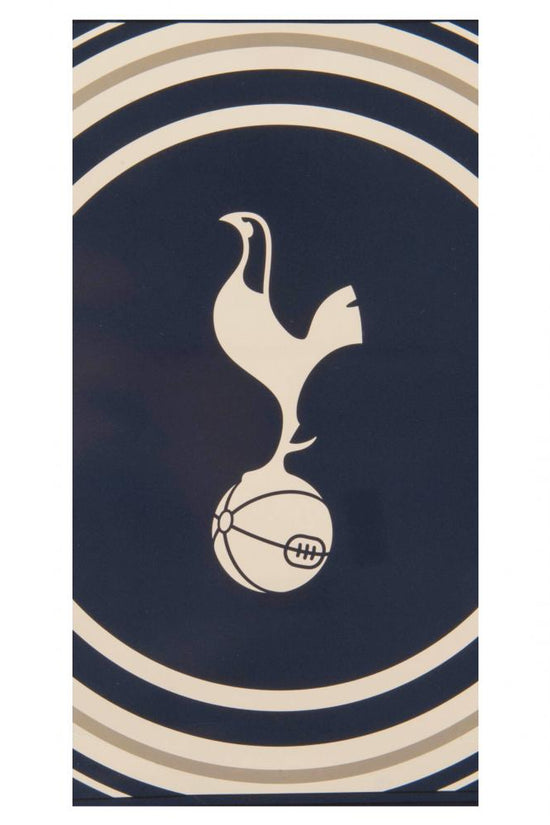 138730 Tottenham Hotspur FC Towel PL