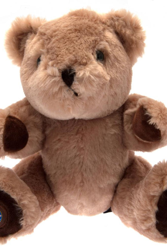 Chelsea FC George Bear 2