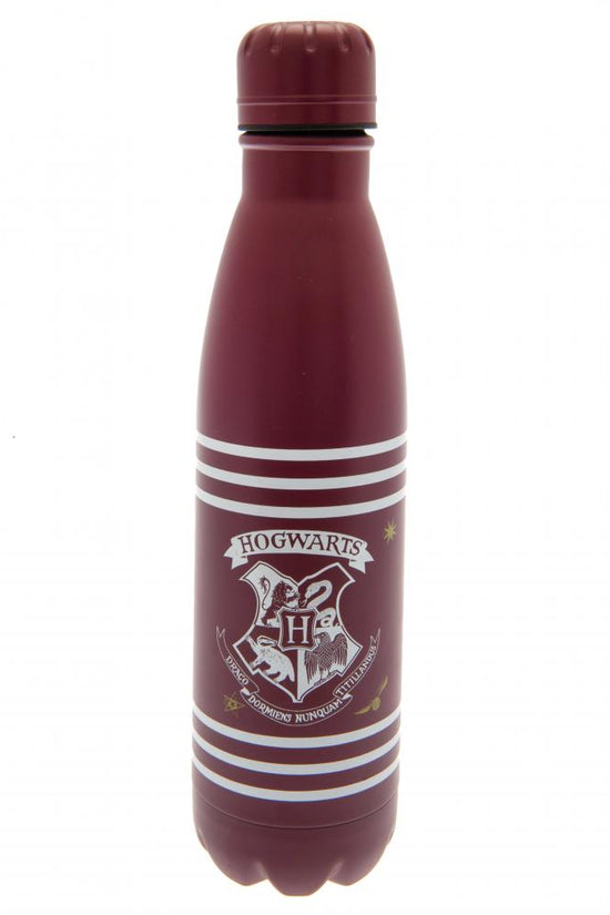 164014 Harry Potter Thermal Flask 1