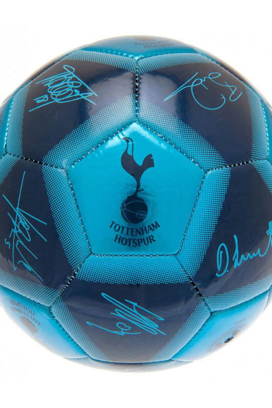 166614 Tottenham Hotspur FC Skill Ball Signature