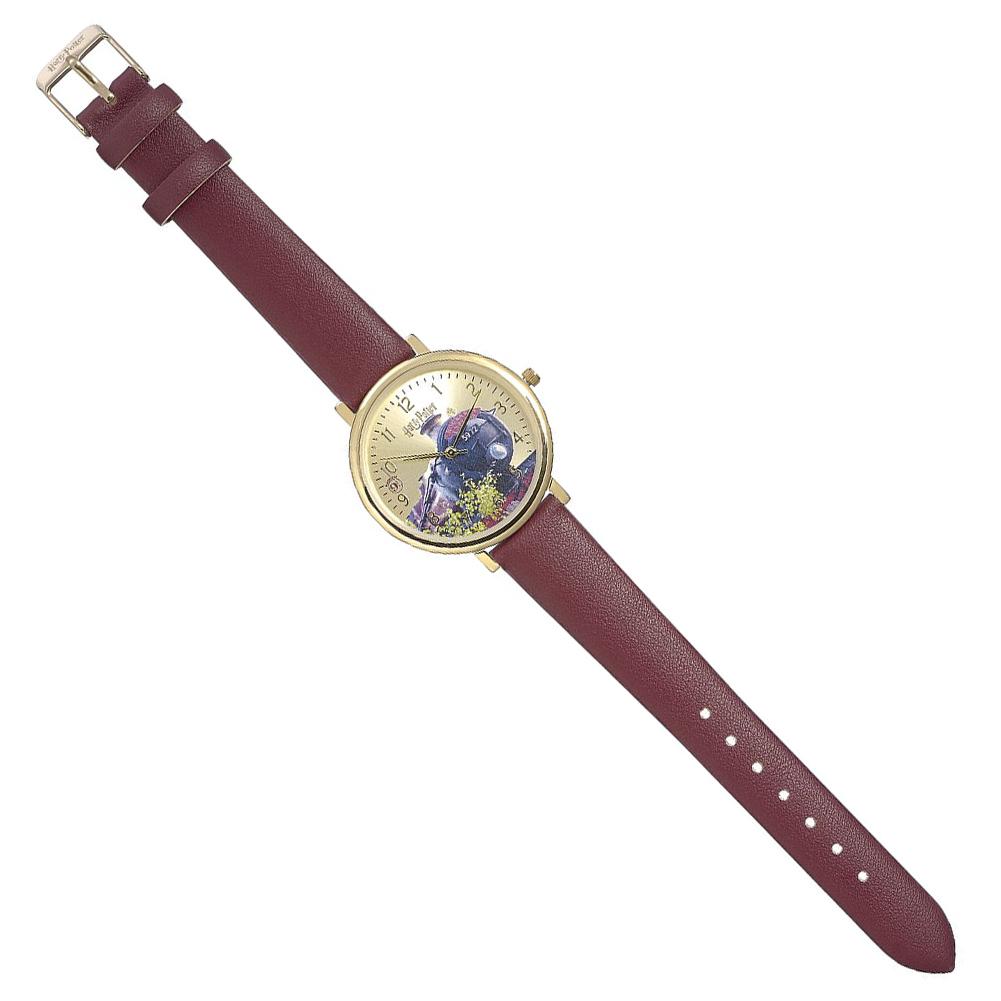 173381 Harry Potter Watch Hogwarts Express 1