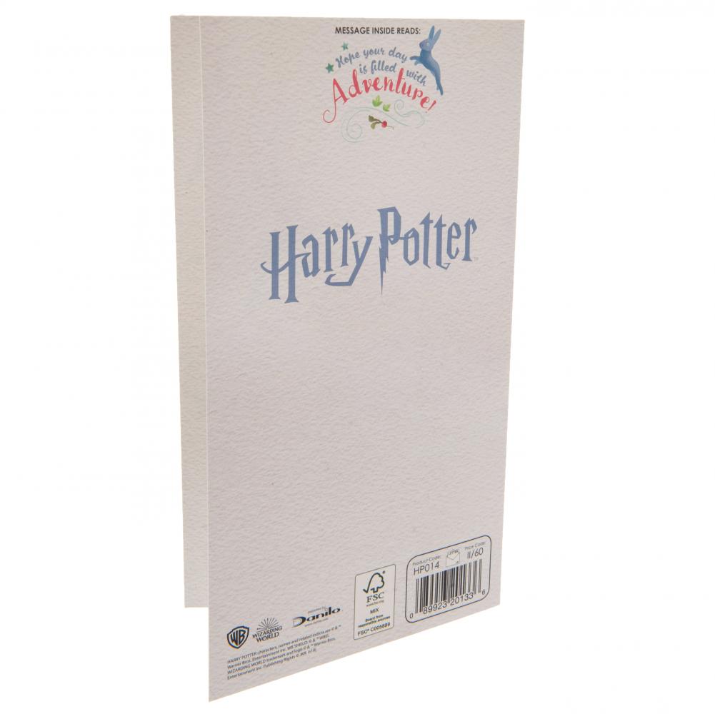 180833 Harry Potter Birthday Card Sister 3