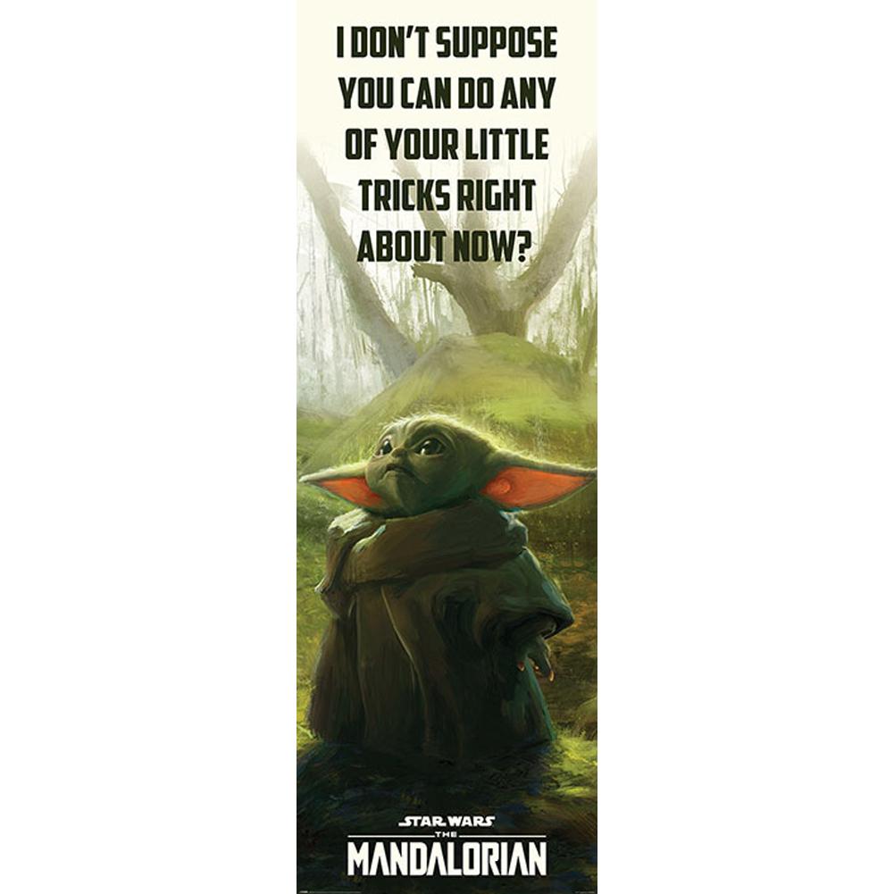 182670 Star Wars The Mandalorian Door Poster 307