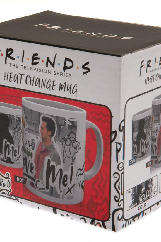 Friends Heat Changing Mug You Love Me