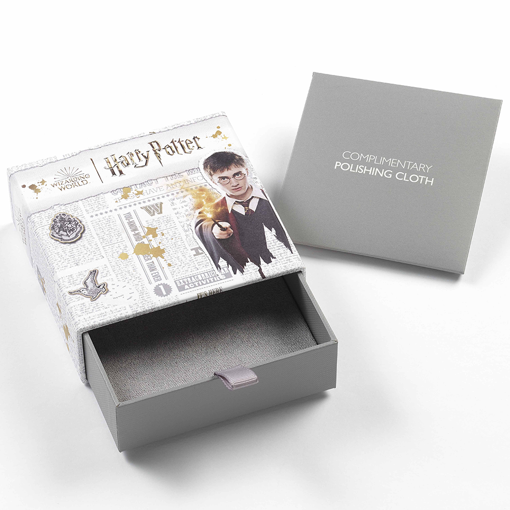 187438 Harry Potter Gold Plated Crystal Earrings Time Turner 2.png