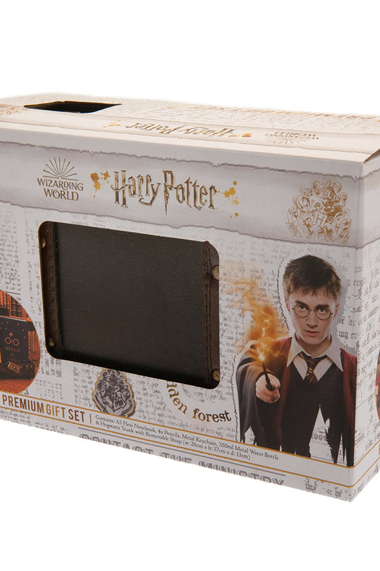 193070 Harry Potter Premium Gift Set 3