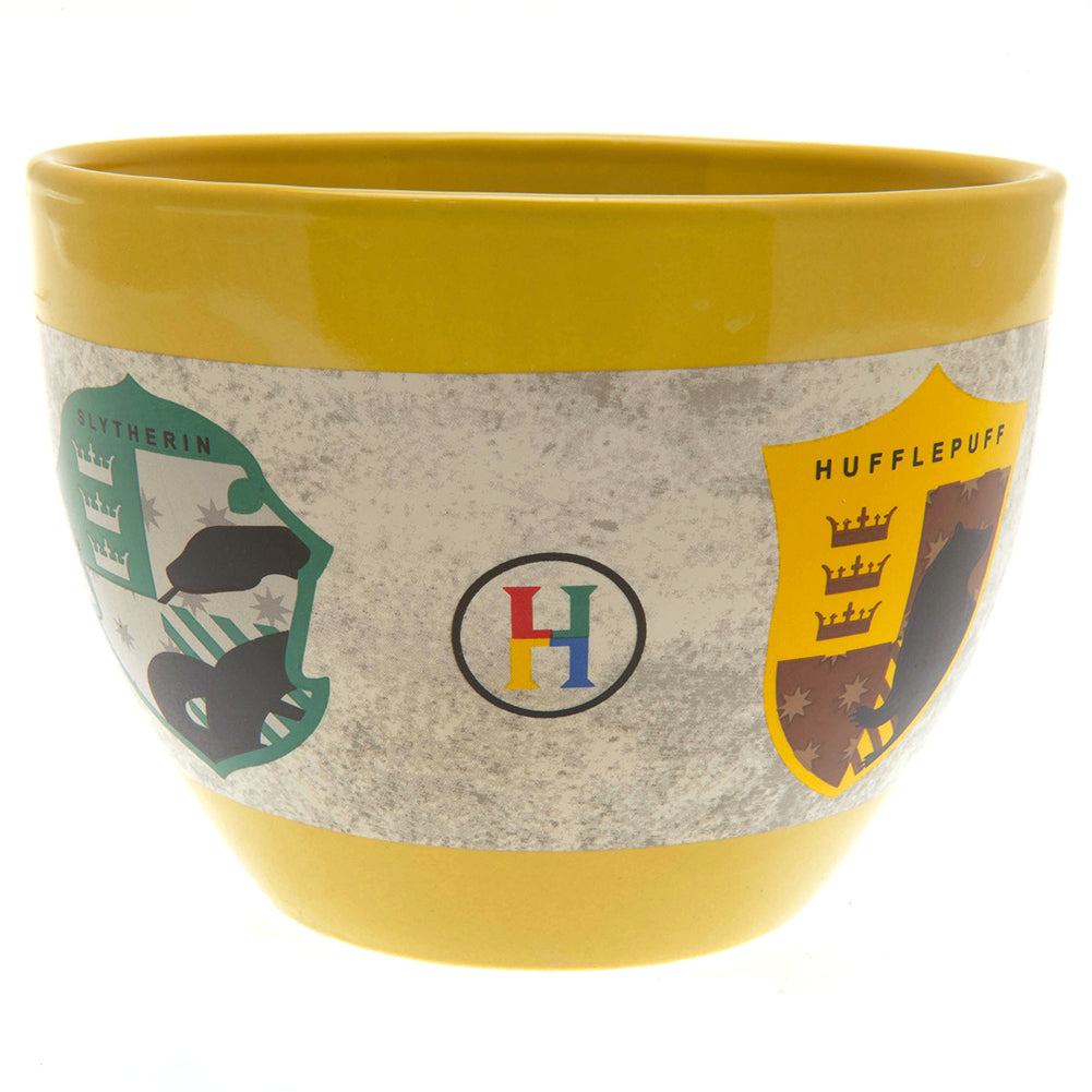 193081 Harry Potter Huggy Mug 1