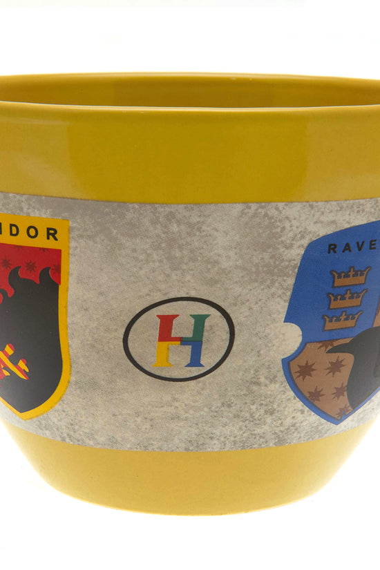 193081 Harry Potter Huggy Mug