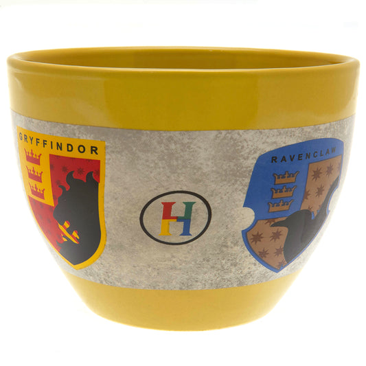 193081 Harry Potter Huggy Mug
