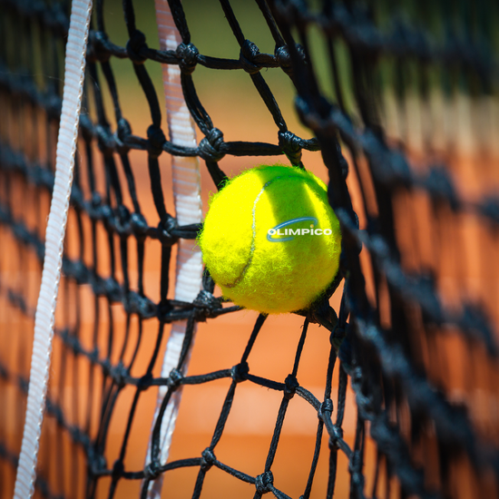 Super Grade Multi Sports Netting [Made to Any Size]