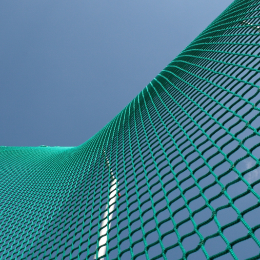 Polanik Discus Cage