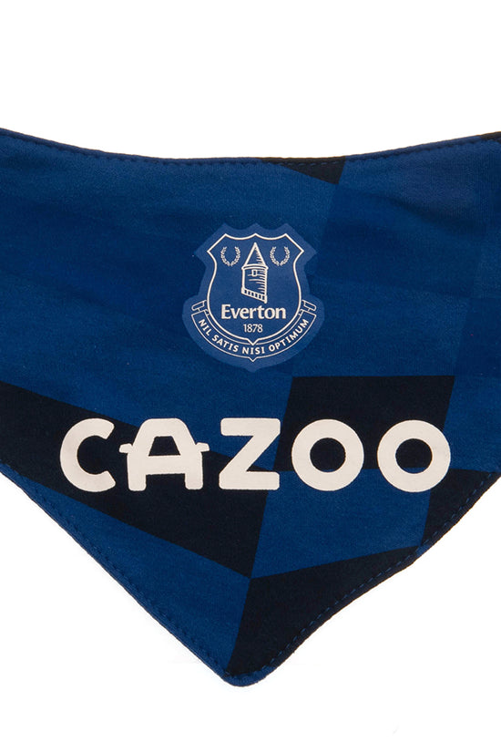 Everton FC 2 Pack Bibs 1