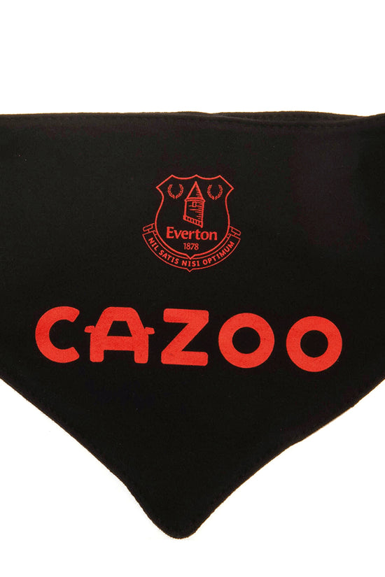 Everton FC 2 Pack Bibs 2