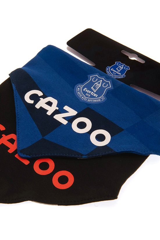 Everton FC 2 Pack Bibs 3
