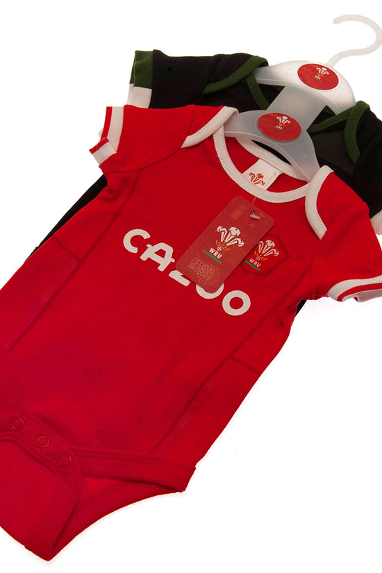 Wales RU 2 Pack Bodysuit 3-6 Mths PC