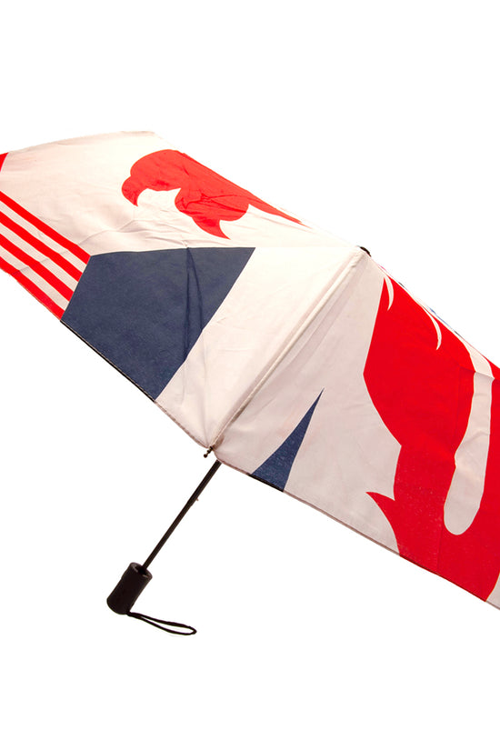 England FA Automatic Umbrella 1