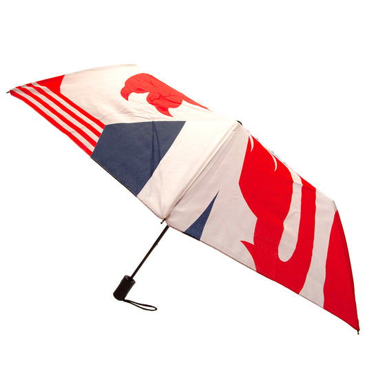 England FA Automatic Umbrella 1