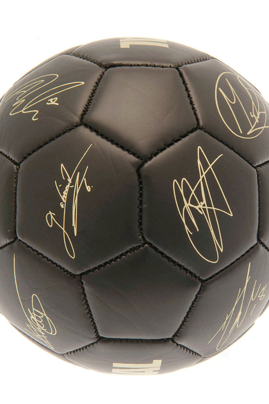 Arsenal FC Skill Ball Signature Gold PH 2