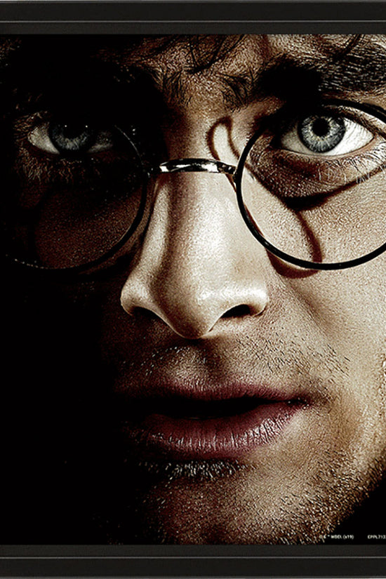 Harry Potter Framed 3D Picture 1