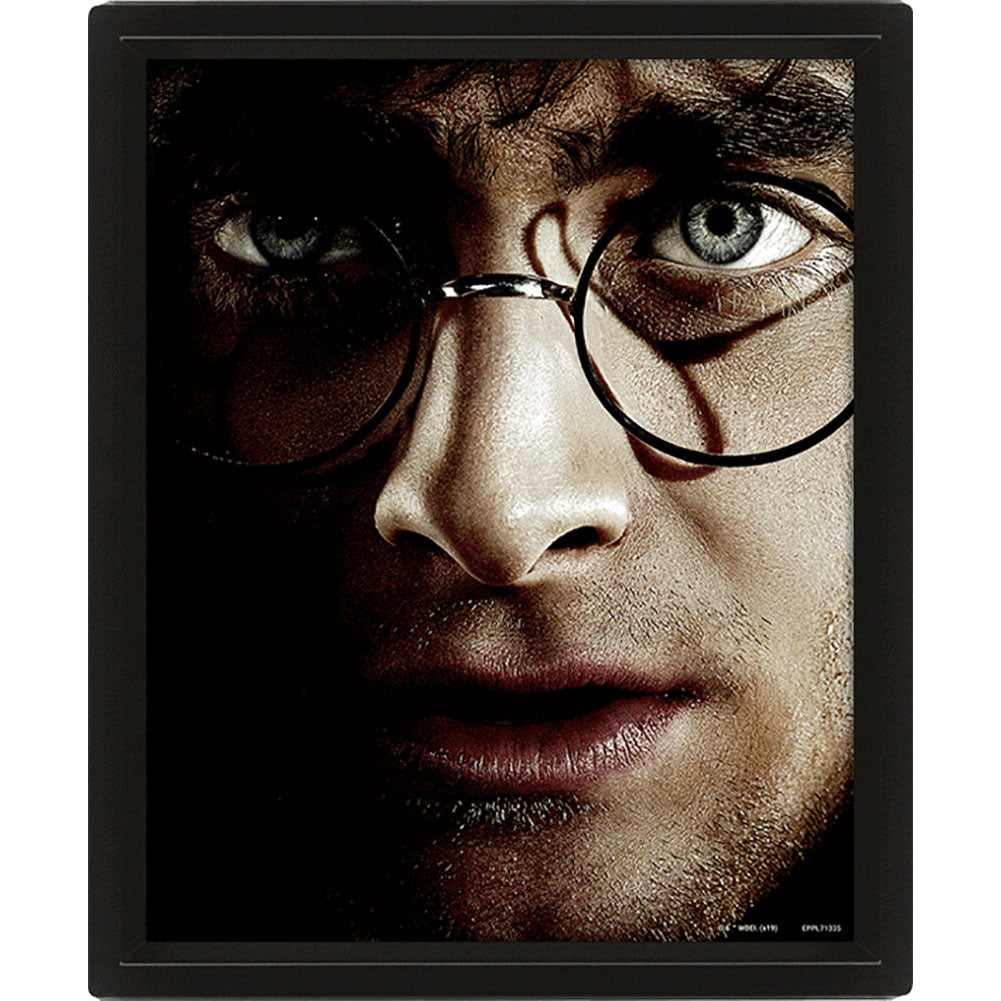 Harry Potter Framed 3D Picture 1