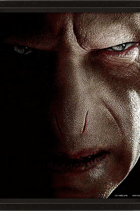 Harry Potter Framed 3D Picture 2