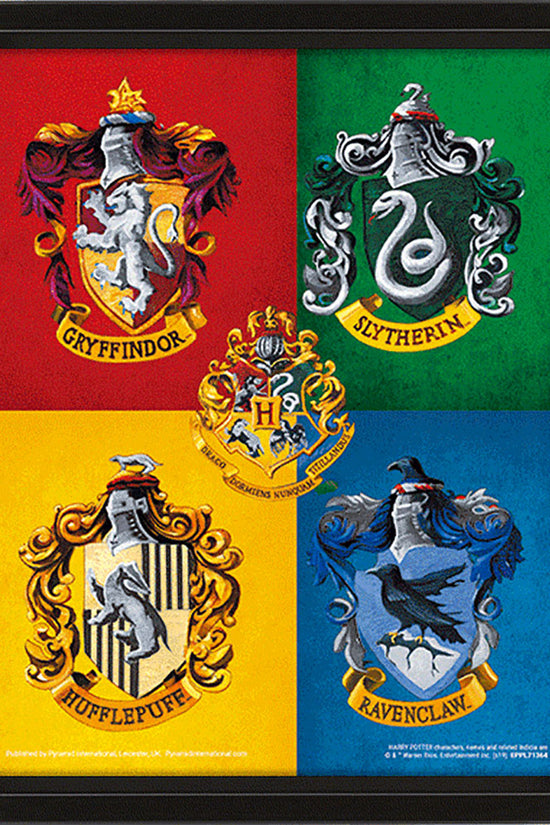 Harry Potter Framed 3D Picture Crests 1
