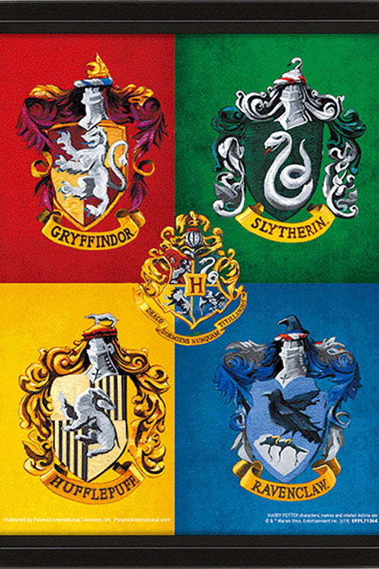 Harry Potter Framed 3D Picture Crests 2