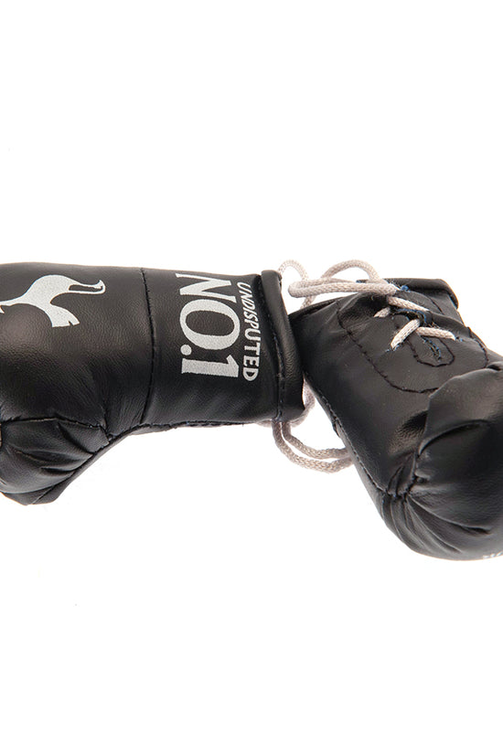 Tottenham Hotspur FC Mini Boxing Gloves