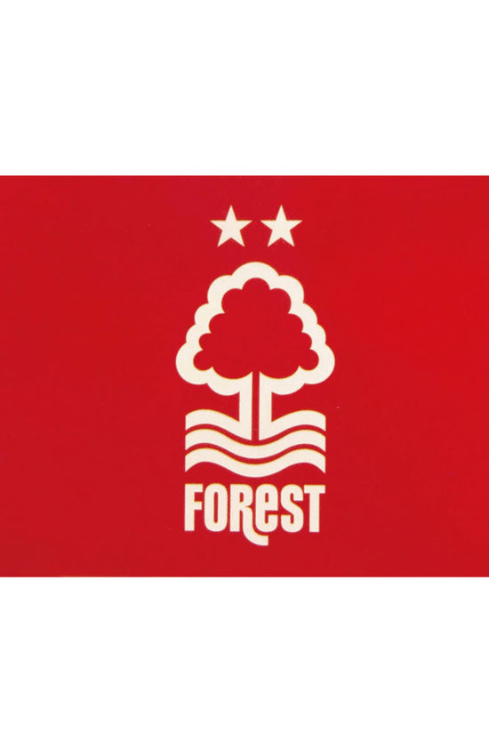Nottingham Forest FC Flag CC 1