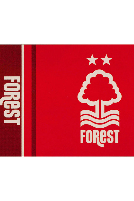 Nottingham Forest FC Flag WM 1
