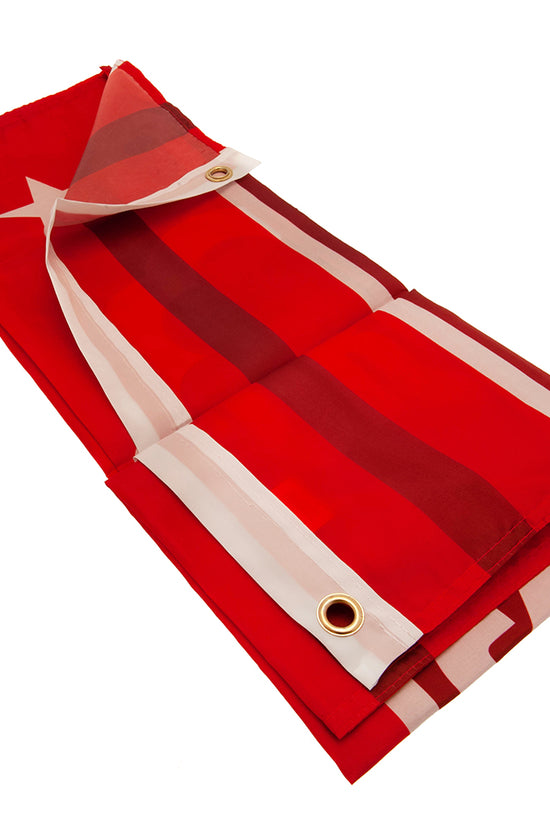 Nottingham Forest FC Flag WM 2