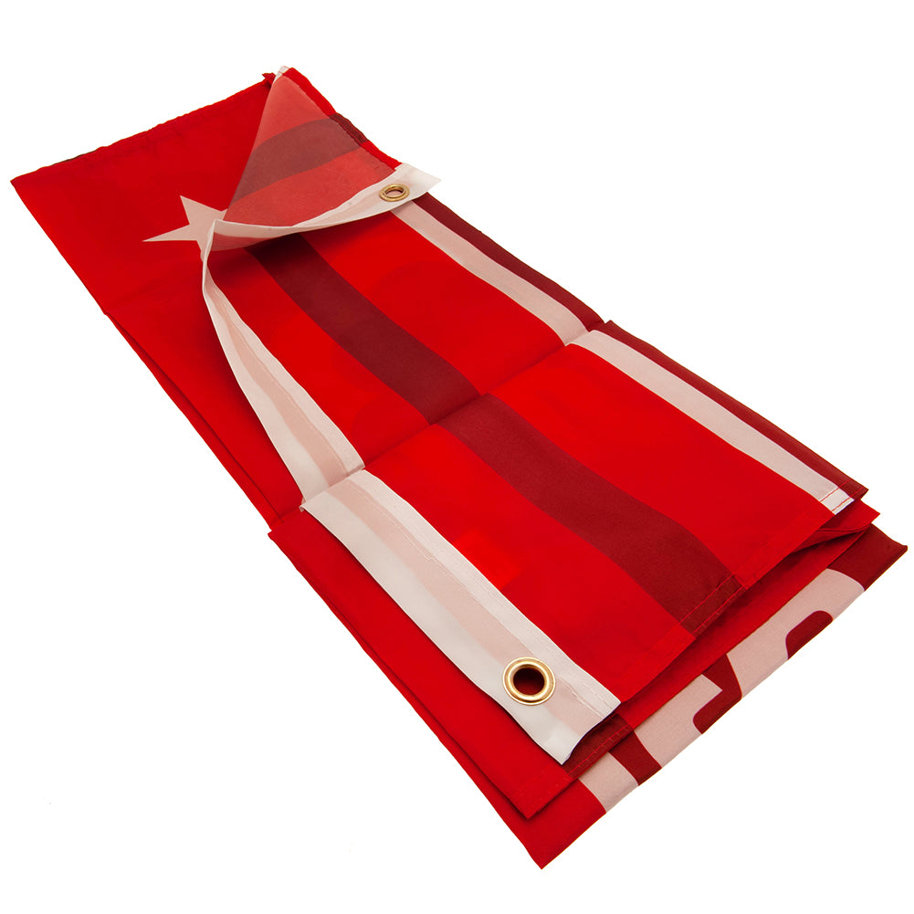 Nottingham Forest FC Flag WM 2