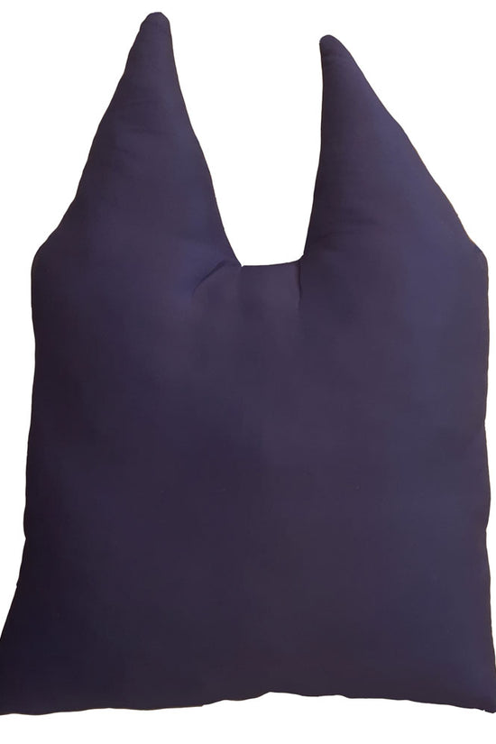 Bluey Cushion 1