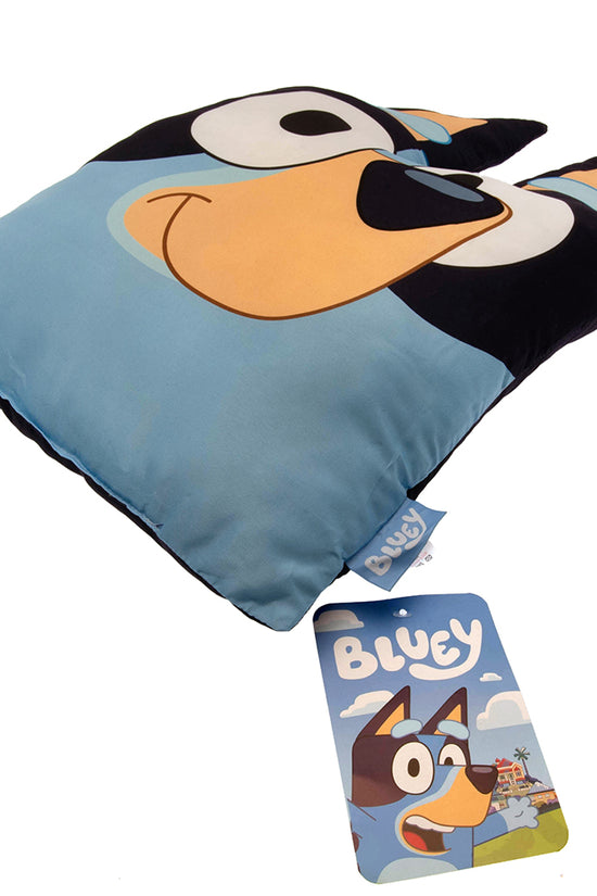 Bluey Cushion 3