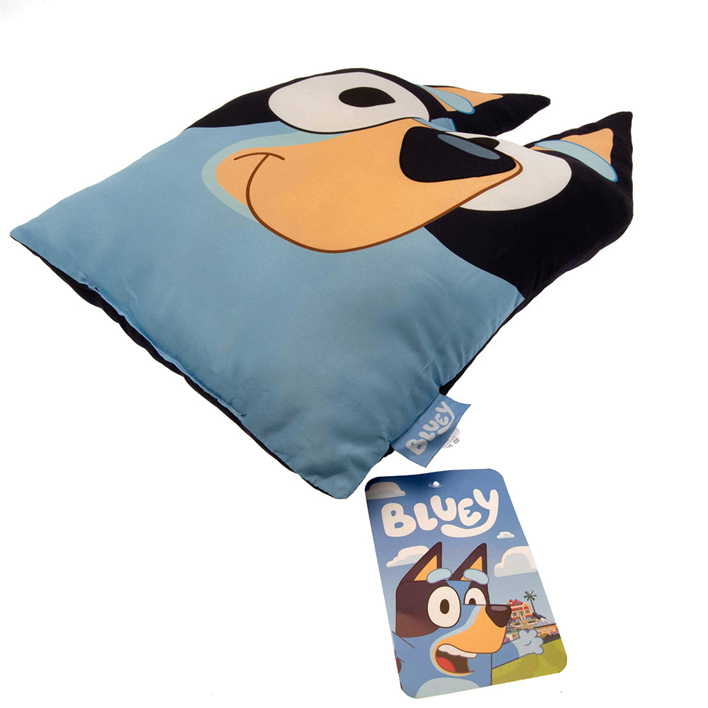 Bluey Cushion 3