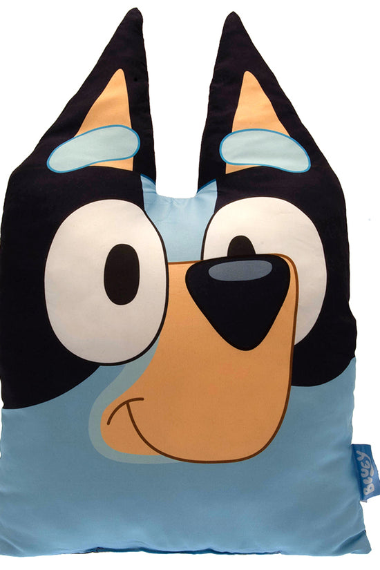 Bluey Cushion