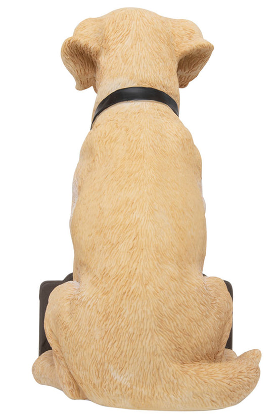 Newcastle United FC Labrador Gnome 2