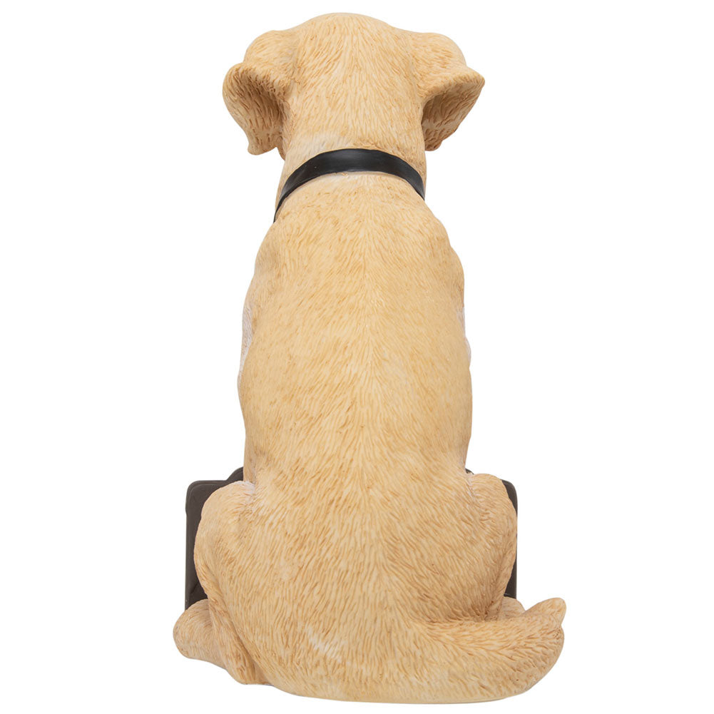 Newcastle United FC Labrador Gnome 2