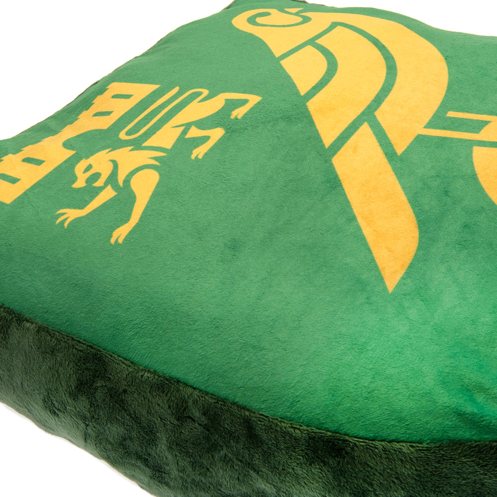 Norwich City FC Crest Cushion 1