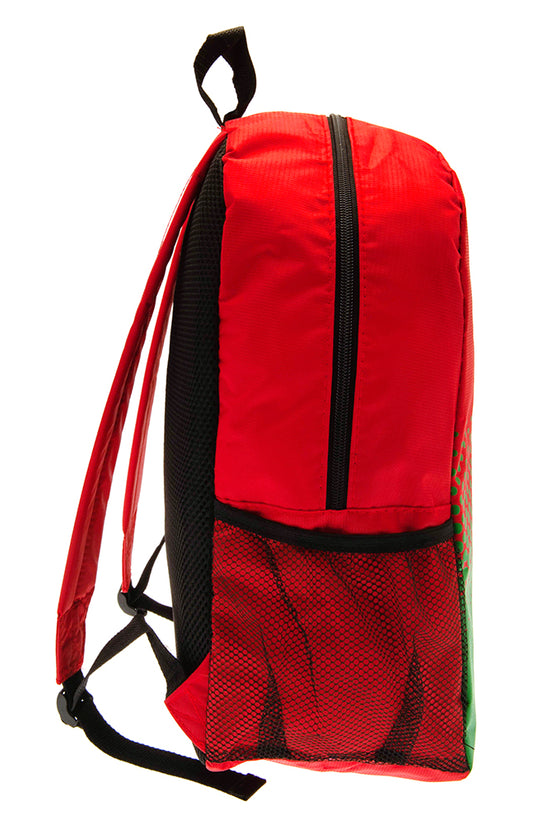 FA Wales Backpack 3