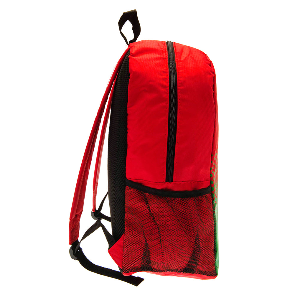 FA Wales Backpack 3
