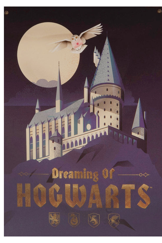 Harry Potter XL Fabric Wall Banner