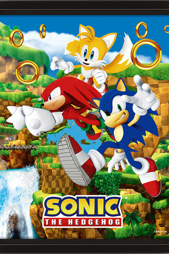 Sonic The Hedgehog Framed 3D Picture 1