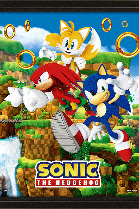 Sonic The Hedgehog Framed 3D Picture 2