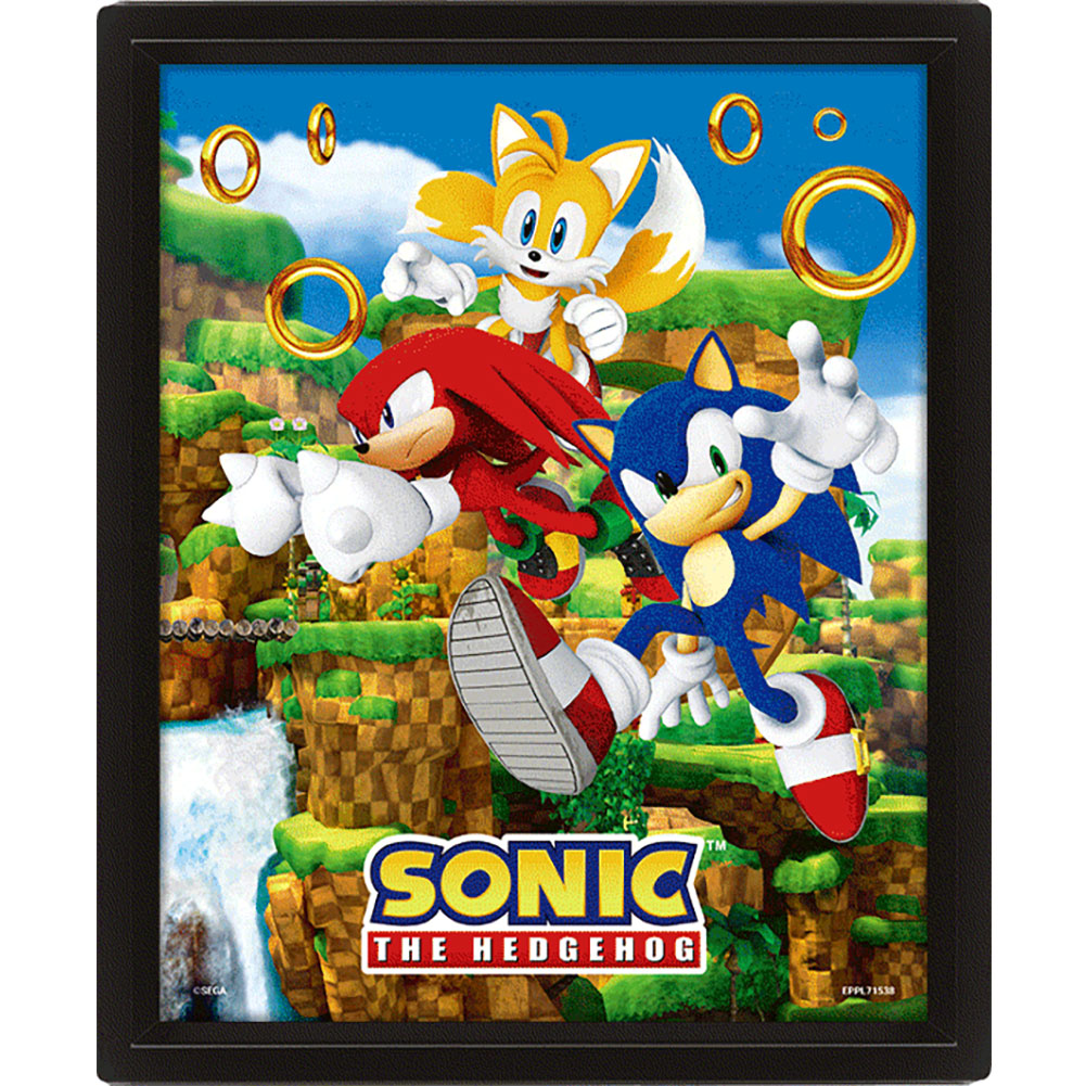 Sonic The Hedgehog Framed 3D Picture 2